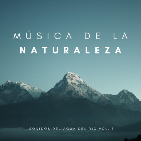 Música De La Naturaleza: Agua Curativa Que Fluye De La Montaña Vol. 1