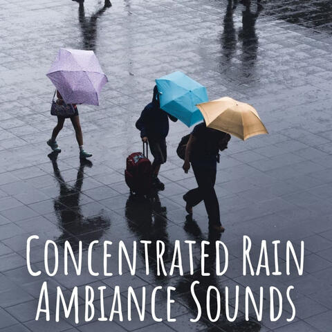 Concentrated Rain Ambiance Sounds
