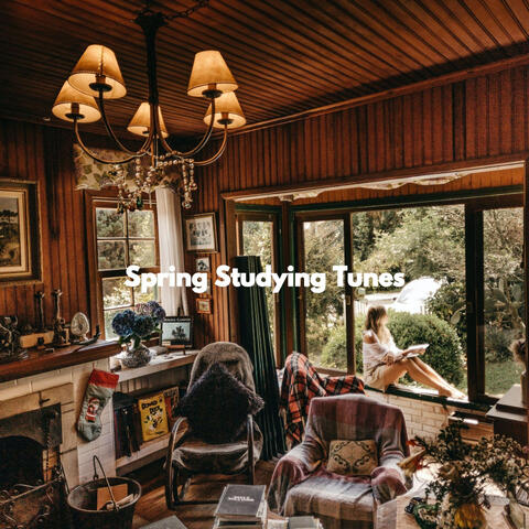 Spring Studying Tunes
