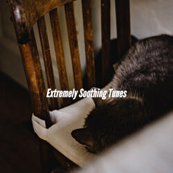 Phenomenal April Cleaning