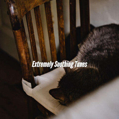 Extremely Soothing Tunes