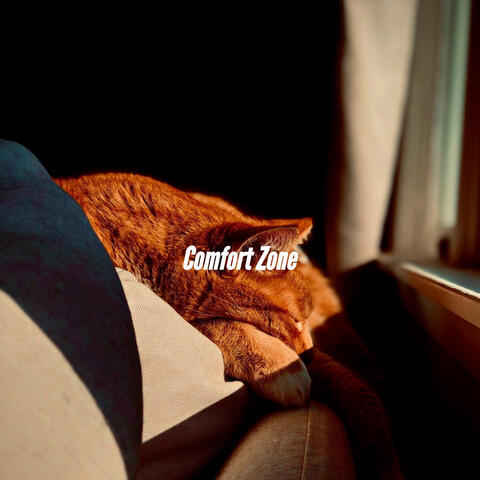 Comfort Zone