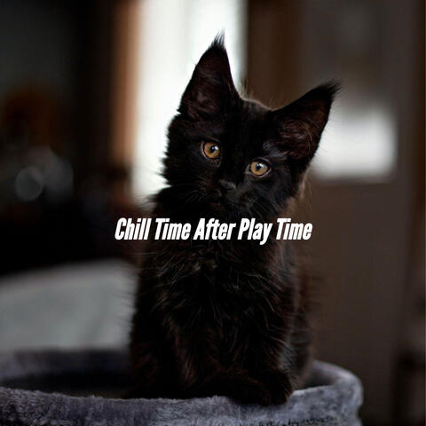 Chill Time After Play Time
