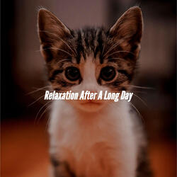 Modern Ambience for Spring Passages