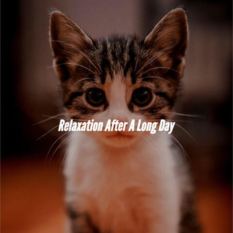 Relaxation After A Long Day