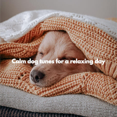 Calm dog tunes for a relaxing day