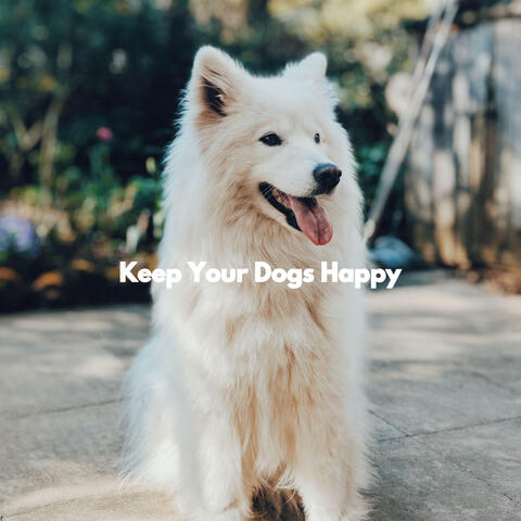 Keep Your Dogs Happy