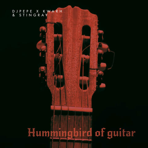 Hummingbird of Guitar