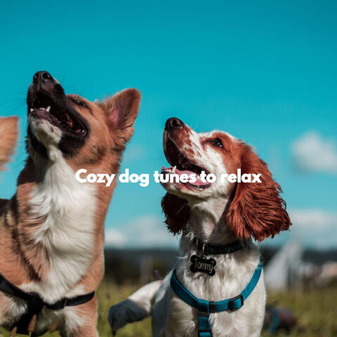 Cozy dog tunes to relax