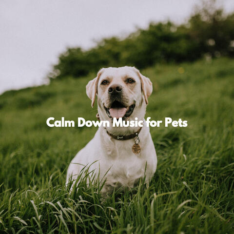 Calm Down Music for Pets