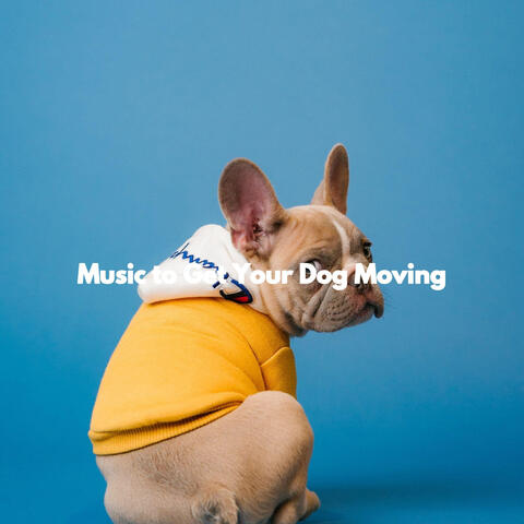 Music to Get Your Dog Moving