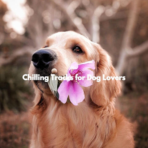 Chilling Tracks for Dog Lovers