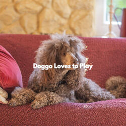 Sublime Backdrops for The Loving Pups