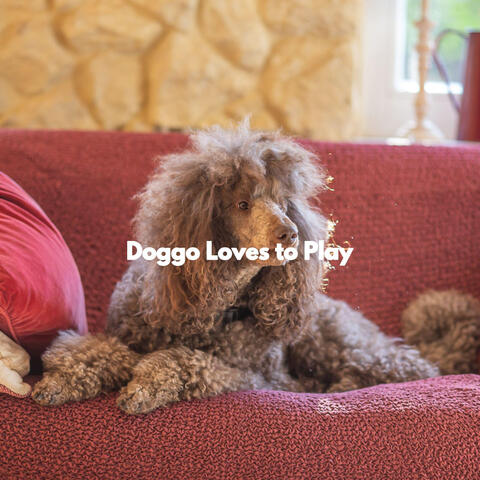 Doggo Loves to Play