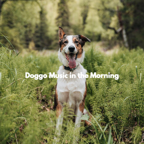 Doggo Music in the Morning