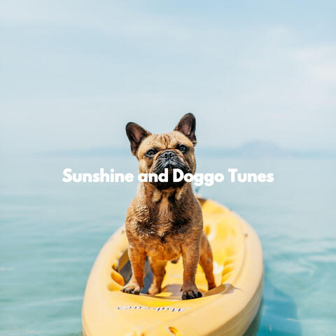 Sunshine and Doggo Tunes