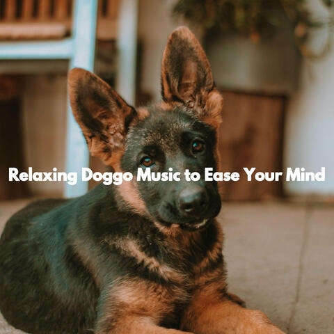 Relaxing Doggo Music to Ease Your Mind