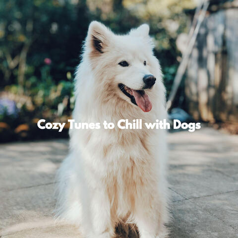 Cozy Tunes to Chill with Dogs