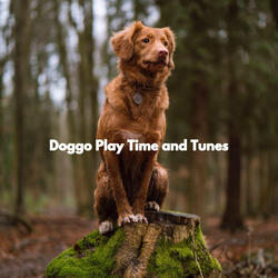 Sublime Backdrops for Family Puppy