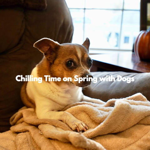 Chilling Time on Spring with Dogs