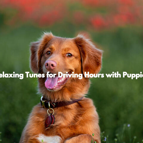 Relaxing Tunes for Driving Hours with Puppies