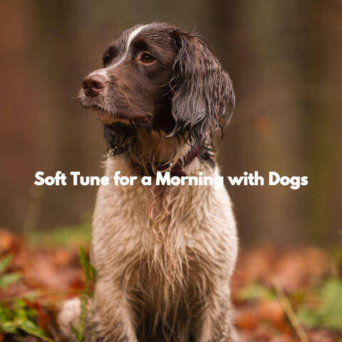Soft Tune for a Morning with Dogs