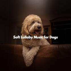Astounding Ambience for The Loving Pups