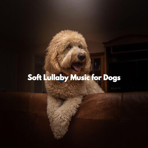 Soft Lullaby Music for Dogs