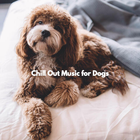 Chill Out Music for Dogs