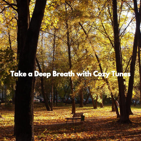 Take a Deep Breath with Cozy Tunes