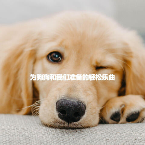 为狗狗和我们准备的轻松乐曲