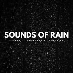 The Year Of The Rain
