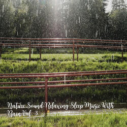 Falling Rain to Relax