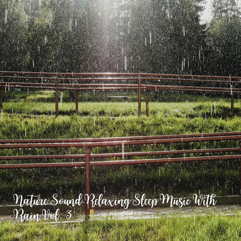 Nature Sound Relaxing Sleep Music With Rain Vol. 3