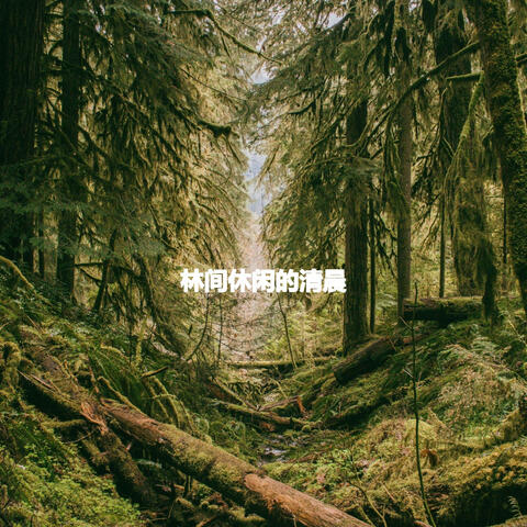 林间休闲的清晨