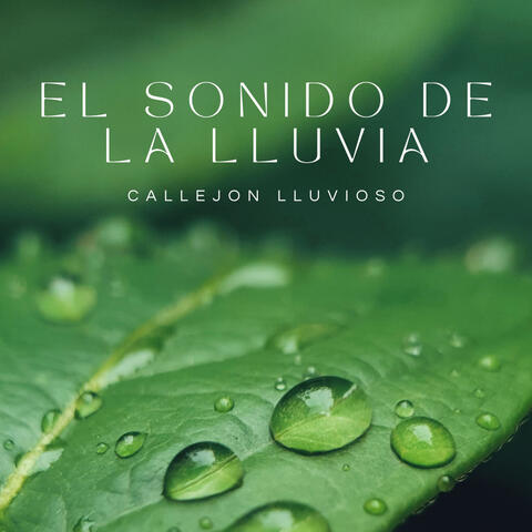 El Sonido De La Lluvia: Callejon Lluvioso