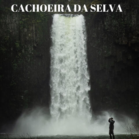 Cachoeira Da Selva