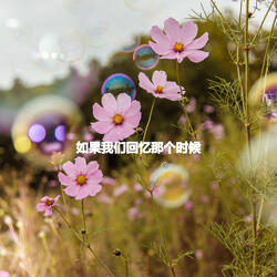 Background for Wild Imaginations