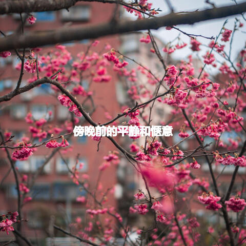 傍晚前的平静和惬意