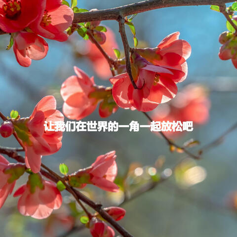 让我们在世界的一角一起放松吧