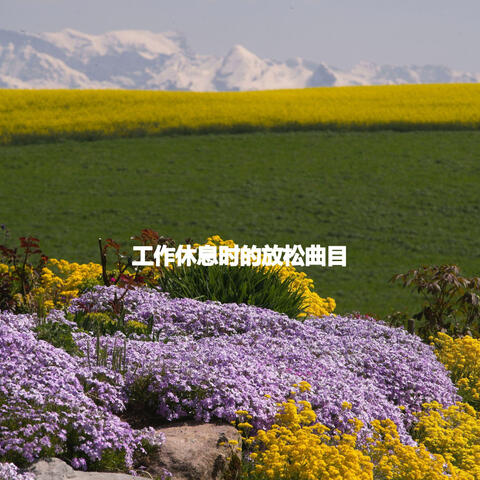 工作休息时的放松曲目
