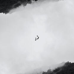 Why Am I Still Dreaming?