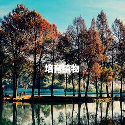 Chilled Concentration Escapes