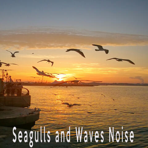 Seagulls and Waves Noise
