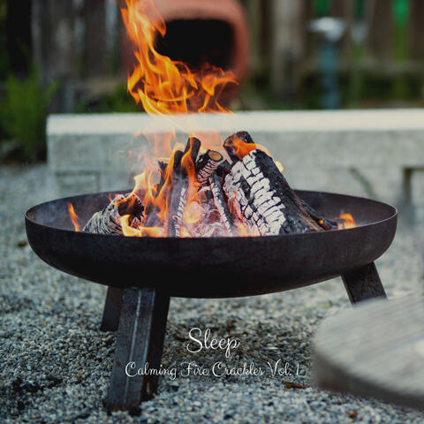 Sleep: Calming Fire Crackles Vol. 1