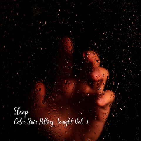 Sleep: Overnight Fall of Soothing Rain Vol. 1