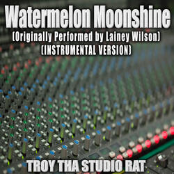 Watermelon Moonshine (Originally Performed by Lainey Wilson)