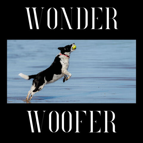 Wonder Woofer