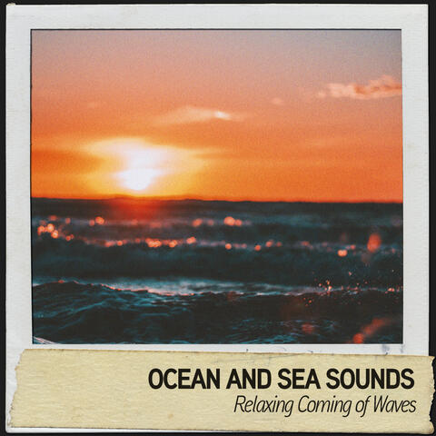 Ocean and Sea Sounds: Relaxing Coming of Waves