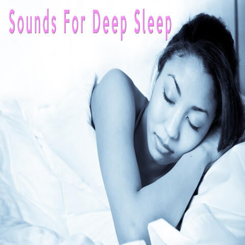 Sleep Noise Therapy